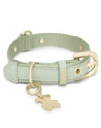TOUS COLLAR S. DOGS JEWELRY MENTA