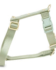TOUS ARNES S.DOGS JEWELRY MENTA