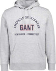 GANT PRINTED GRAPHIC HOODIE GREY MELANGE