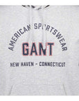 GANT PRINTED GRAPHIC HOODIE GREY MELANGE