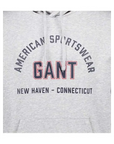 GANT PRINTED GRAPHIC HOODIE GREY MELANGE - textil