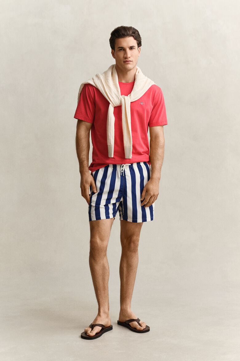 GANT BLOCK STRIPED SWIM SHORTS RICH NAVY