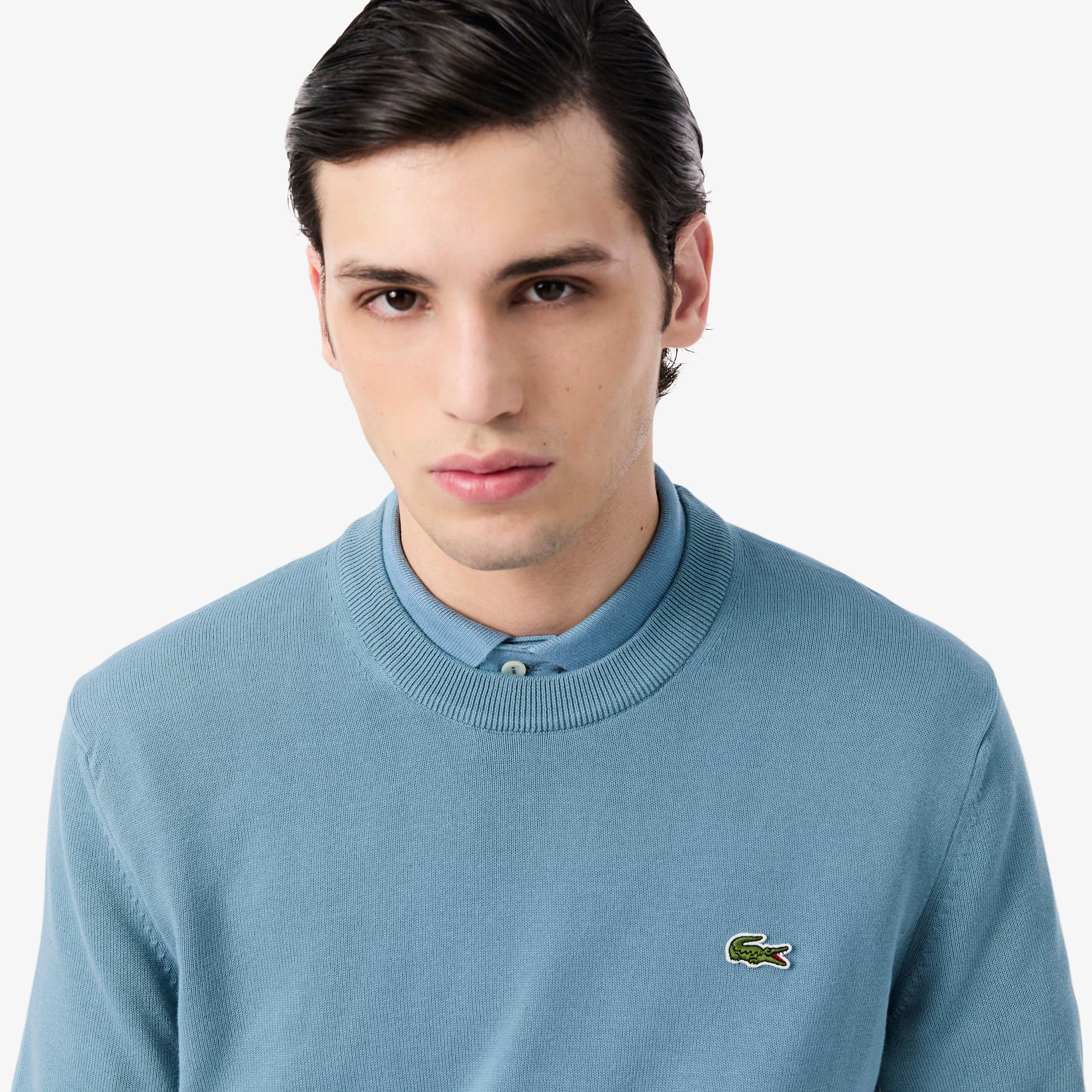 LACOSTE AB148 CREWNECKS SWEATERS MALE ARAL