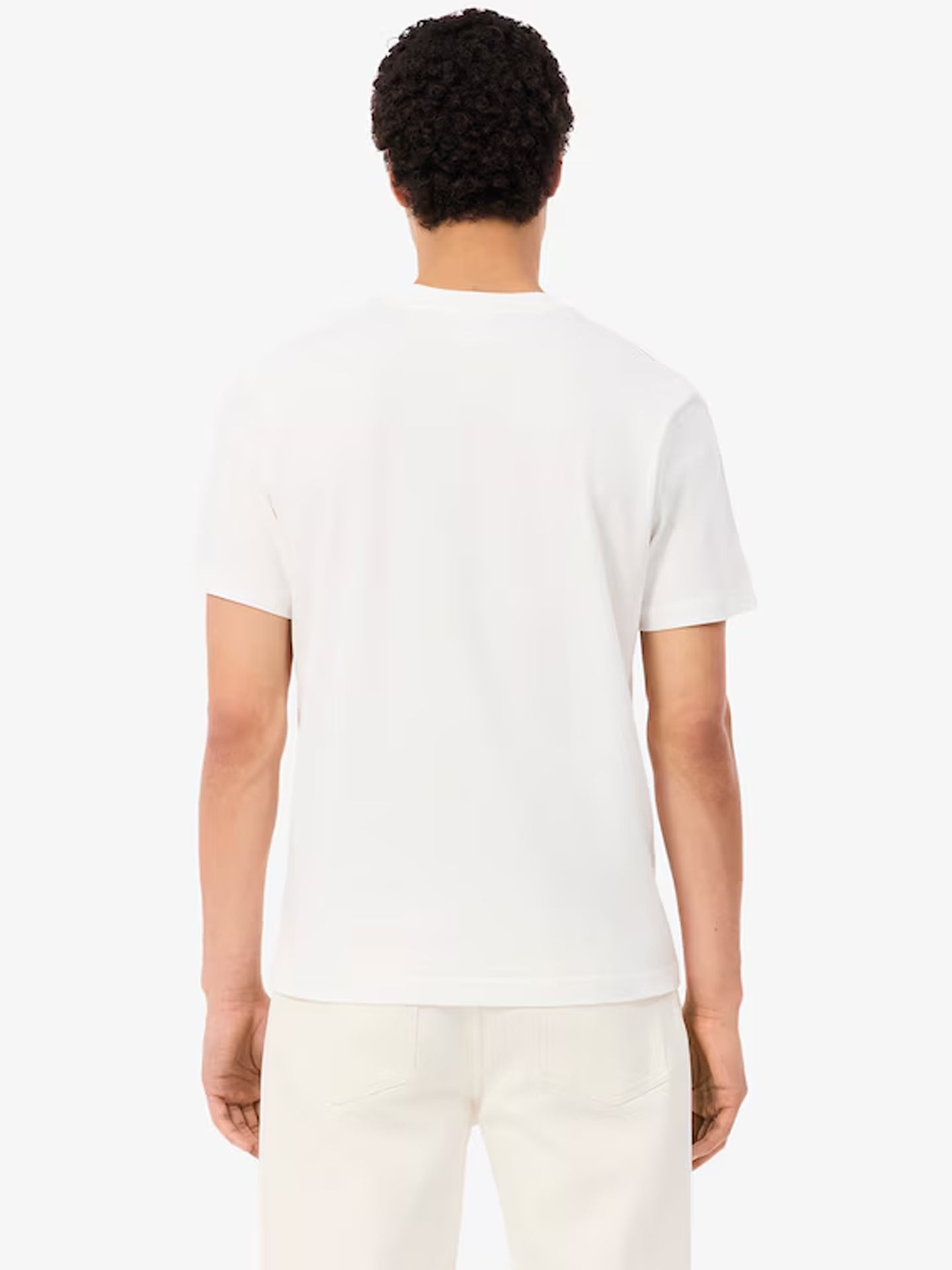 LACOSTE CREWNECK T-SHIRTS MALE AD 70V