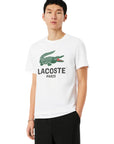 LACOSTE CREWNECK T-SHIRTS MALE AD 001