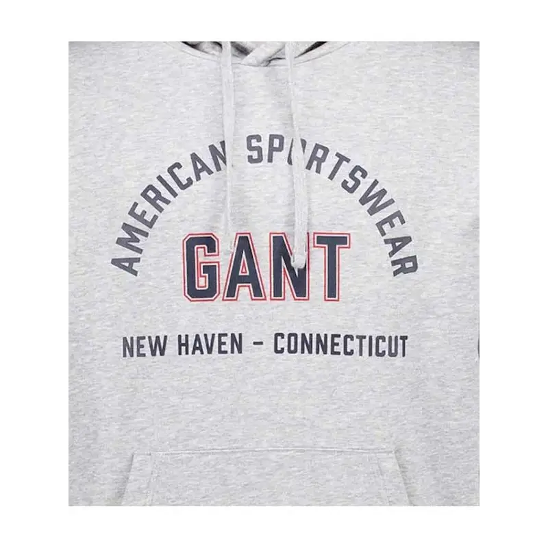 GANT PRINTED GRAPHIC HOODIE GREY MELANGE - textil
