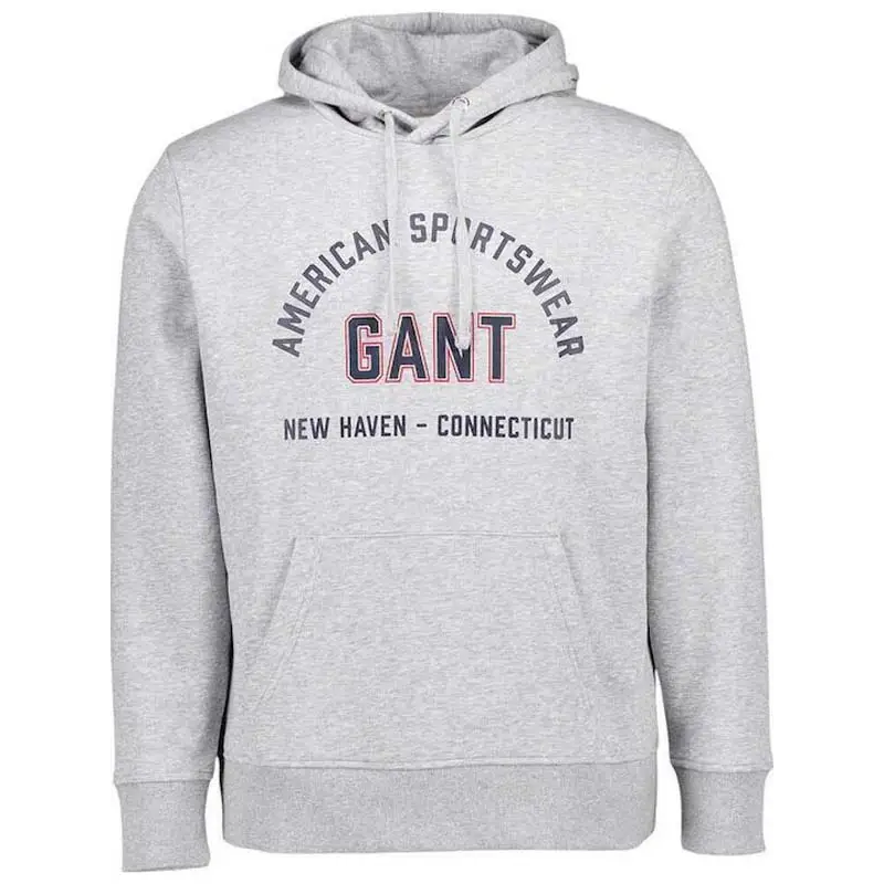 GANT PRINTED GRAPHIC HOODIE GREY MELANGE - textil